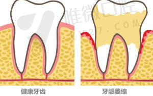 诊疗项目与收费标准