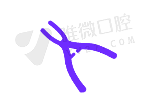 长沙德韩口腔暑期矫正优惠大放送，性价比惊人！