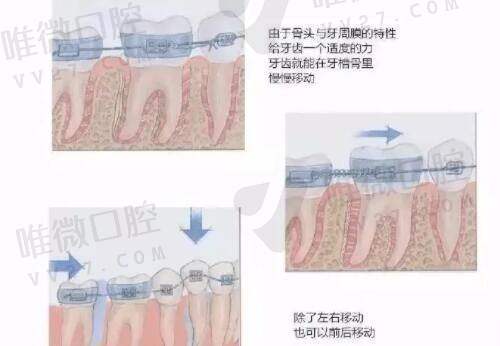 深圳尔睦口腔医院地址在哪里？附医院简介及预约就诊流程