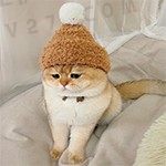 面对疾风吧