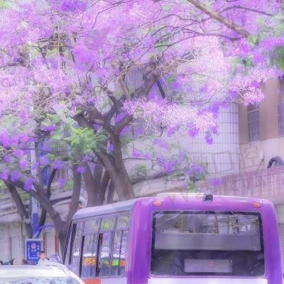 花开花落