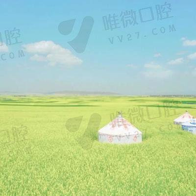 灰色的海