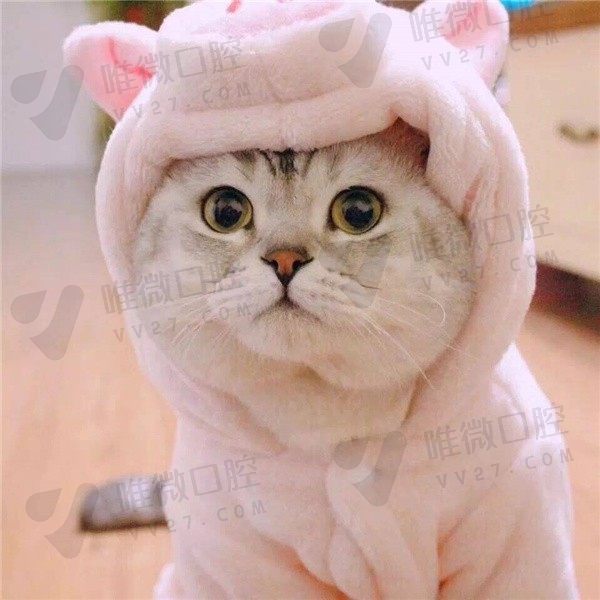 你鬼神大人