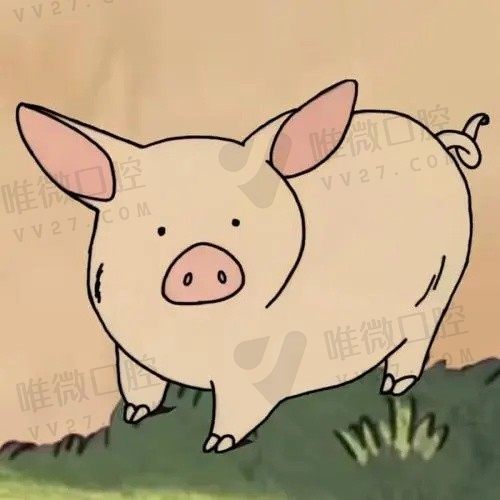 没视野154