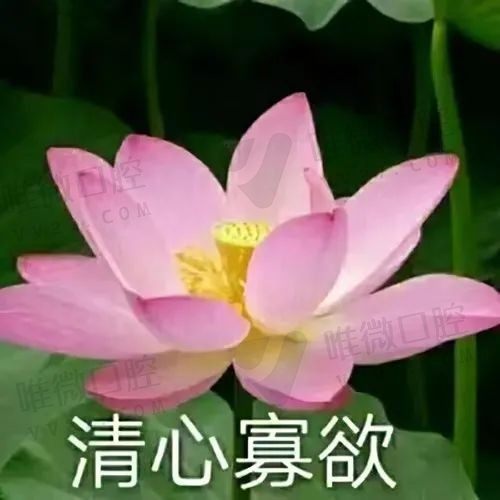 桂花糕