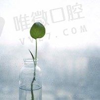 清风明月