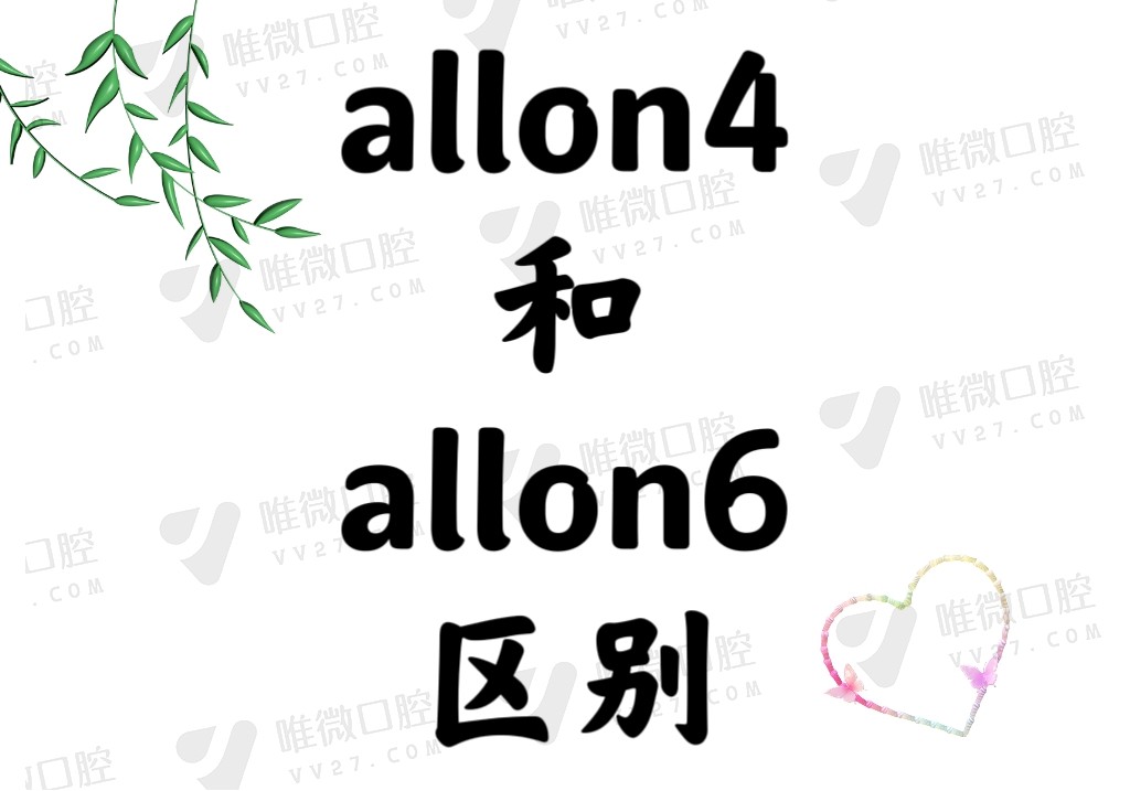 allon4和allon6区别大吗