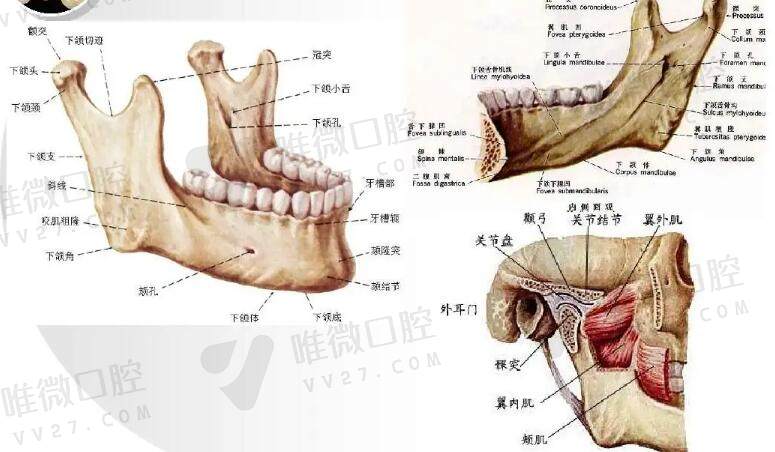 正颌手术在线咨询免费