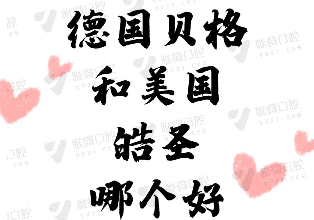 德国贝格和美国晧圣哪个好