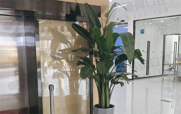 山西众植齿科医院价格收费
